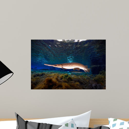 Florida Gar Silver Glen Wall Decal Design 3