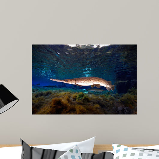 Florida Gar Silver Glen Wall Decal Design 3