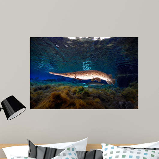 Florida Gar Silver Glen Wall Decal Design 3