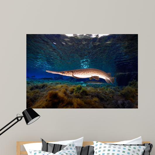 Florida Gar Silver Glen Wall Decal Design 3
