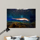 Florida Gar Silver Glen Wall Decal Design 3