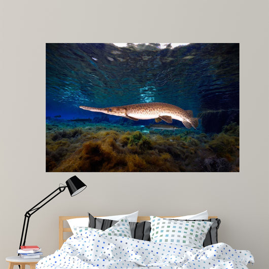 Florida Gar Silver Glen Wall Decal Design 3