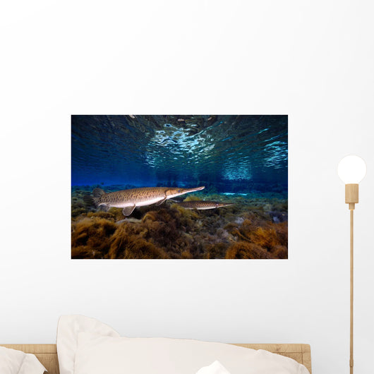 Florida Gar Silver Glen Wall Decal Design 2