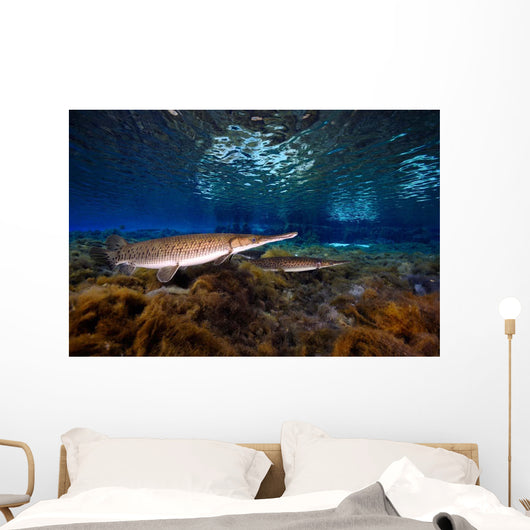 Florida Gar Silver Glen Wall Decal Design 2