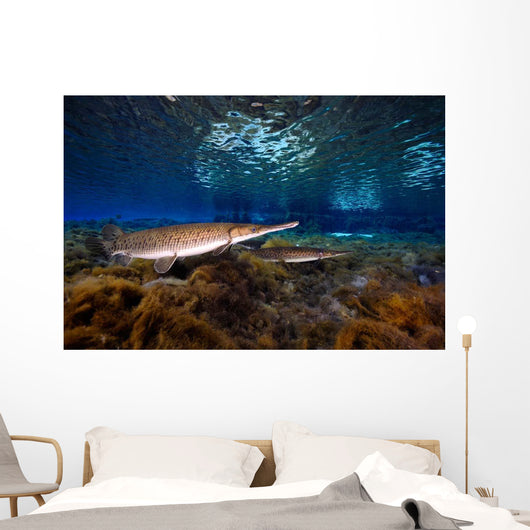 Florida Gar Silver Glen Wall Decal Design 2