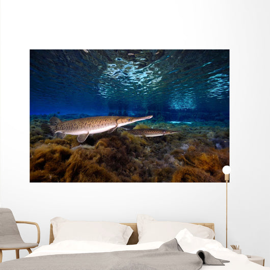 Florida Gar Silver Glen Wall Decal Design 2