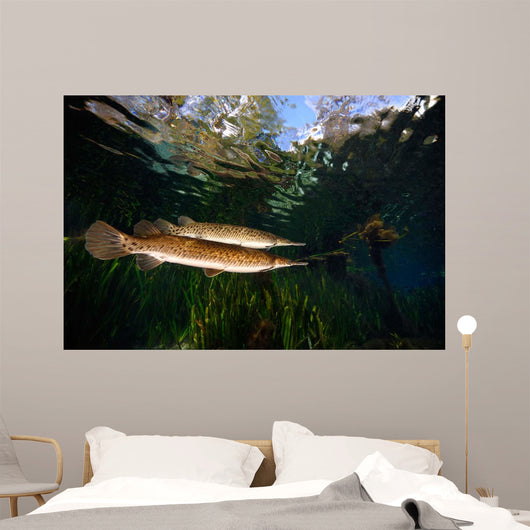 Florida Gar Silver Glen Wall Decal Design 1