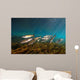 Striped Mullet Salt Springs Wall Decal Design 7