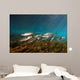 Striped Mullet Salt Springs Wall Decal Design 7