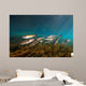 Striped Mullet Salt Springs Wall Decal Design 7