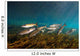 Striped Mullet Salt Springs Wall Decal Design 7
