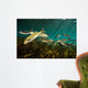 Striped Mullet Salt Springs Wall Decal Design 5