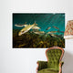 Striped Mullet Salt Springs Wall Decal Design 5