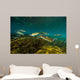 Striped Mullet Salt Springs Wall Decal Design 2