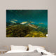 Striped Mullet Salt Springs Wall Decal Design 2