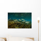 Striped Mullet Salt Springs Wall Decal Design 1