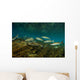 Striped Mullet Salt Springs Wall Decal Design 1