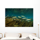 Striped Mullet Salt Springs Wall Decal Design 1