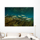Striped Mullet Salt Springs Wall Decal Design 1