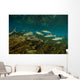 Striped Mullet Salt Springs Wall Decal Design 1