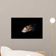Spotted Ratfish Hydrolagus Colliei Wall Decal Design 3