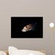 Spotted Ratfish Hydrolagus Colliei Wall Decal Design 3