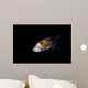 Spotted Ratfish Hydrolagus Colliei Wall Decal Design 3