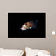 Spotted Ratfish Hydrolagus Colliei Wall Decal Design 3