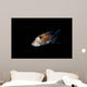 Spotted Ratfish Hydrolagus Colliei Wall Decal Design 3