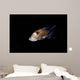 Spotted Ratfish Hydrolagus Colliei Wall Decal Design 3