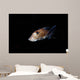 Spotted Ratfish Hydrolagus Colliei Wall Decal Design 3