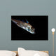 Spotted Ratfish Hydrolagus Colliei Wall Decal Design 2