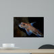 Spotted Ratfish Hydrolagus Colliei Wall Decal Design 1