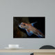 Spotted Ratfish Hydrolagus Colliei Wall Decal Design 1