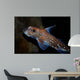 Spotted Ratfish Hydrolagus Colliei Wall Decal Design 1