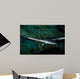 Longnose Gar Lepisosteus Osseus Wall Decal