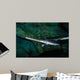 Longnose Gar Lepisosteus Osseus Wall Decal