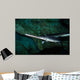 Longnose Gar Lepisosteus Osseus Wall Decal