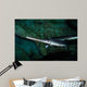 Longnose Gar Lepisosteus Osseus Wall Decal