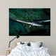 Longnose Gar Lepisosteus Osseus Wall Decal