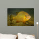 Pumpkinseed Freshwater Fish Vermont Wall Decal