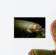 Brook Trout Salvelinus Fontinalis Wall Decal Design 5