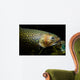Brook Trout Salvelinus Fontinalis Wall Decal Design 5