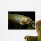 Brook Trout Salvelinus Fontinalis Wall Decal Design 5