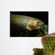 Brook Trout Salvelinus Fontinalis Wall Decal Design 5
