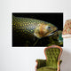 Brook Trout Salvelinus Fontinalis Wall Decal Design 5