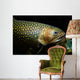 Brook Trout Salvelinus Fontinalis Wall Decal Design 5