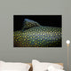 Brook Trout Salvelinus Fontinalis Wall Decal Design 4