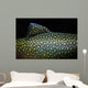 Brook Trout Salvelinus Fontinalis Wall Decal Design 4