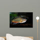 Brook Trout Salvelinus Fontinalis Wall Decal Design 3